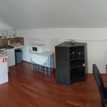 Finera Loft Premantura
